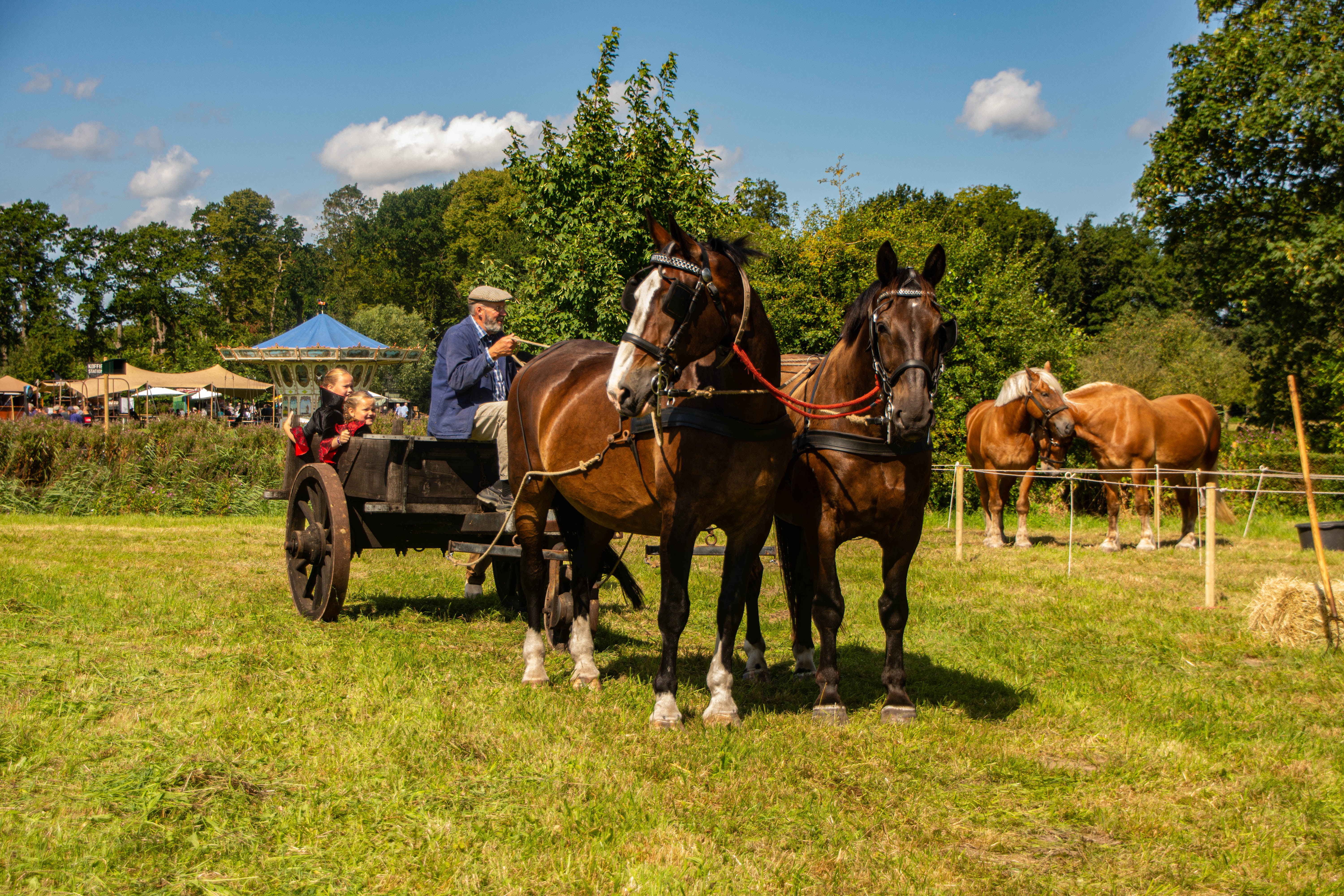 Paard en Wagen