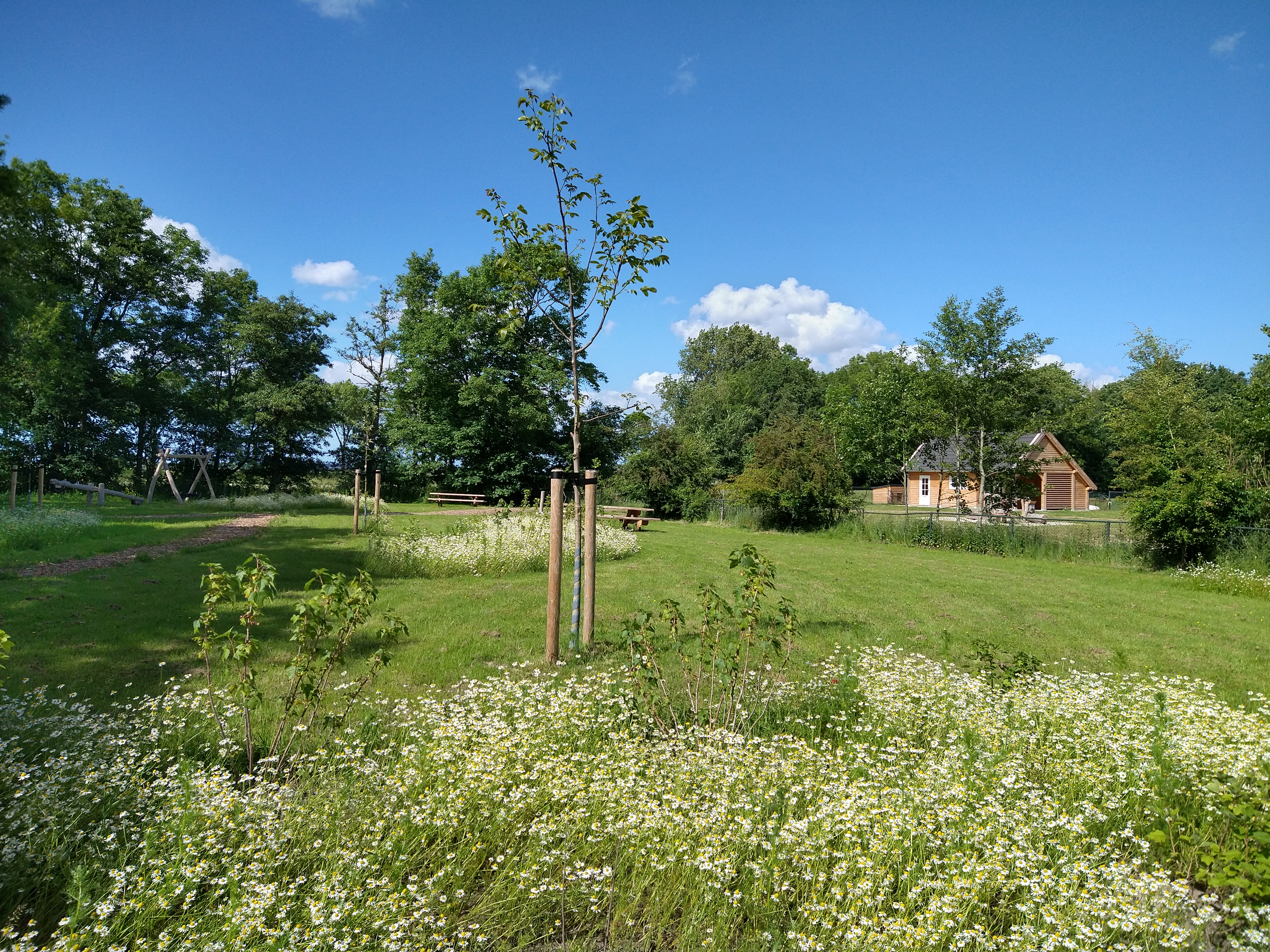 foto van de ruime speelweide bij verhildersum